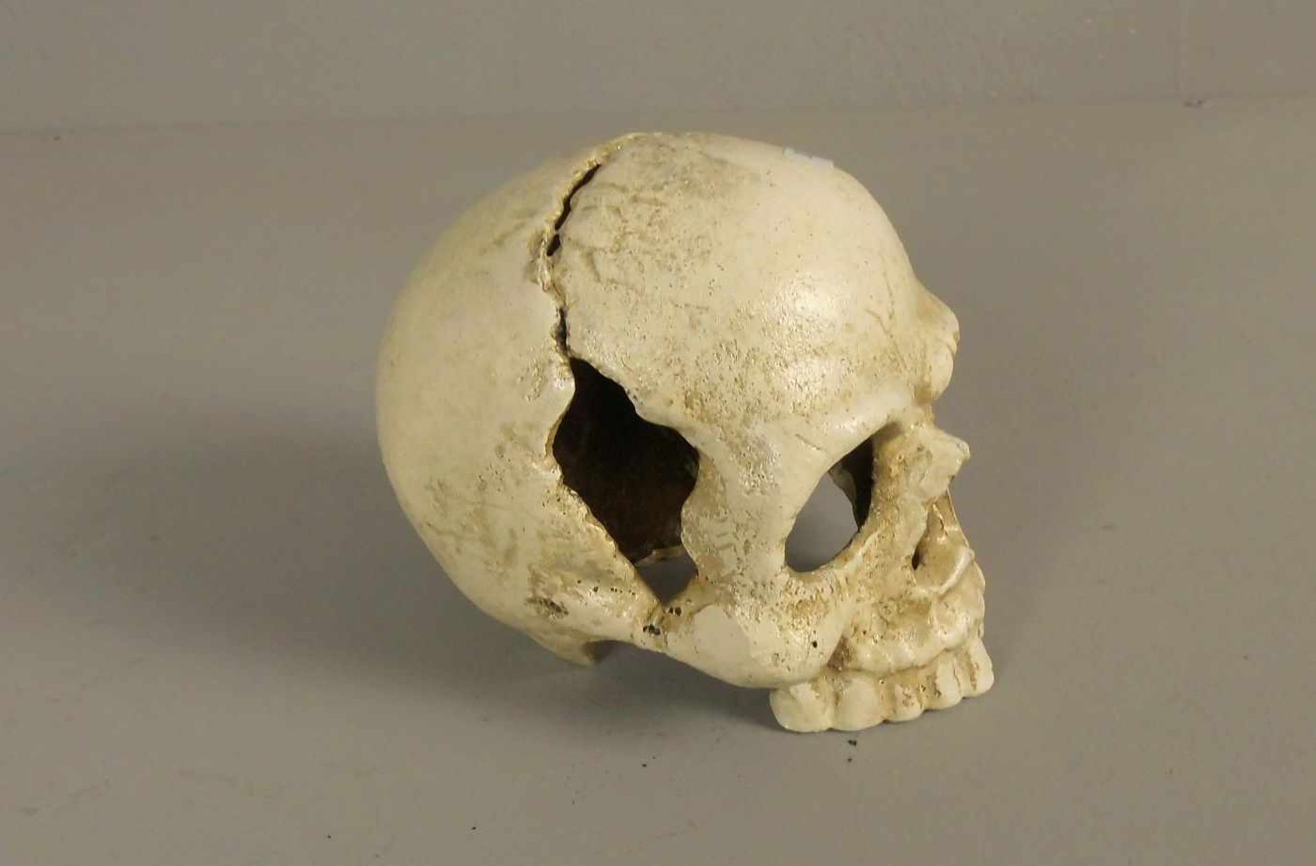 SCHÄDEL / MEMENTO MORI / skull, Eisen, naturalistisch gearbeitet und gefasst. Totenschädel sind seit - Image 3 of 3