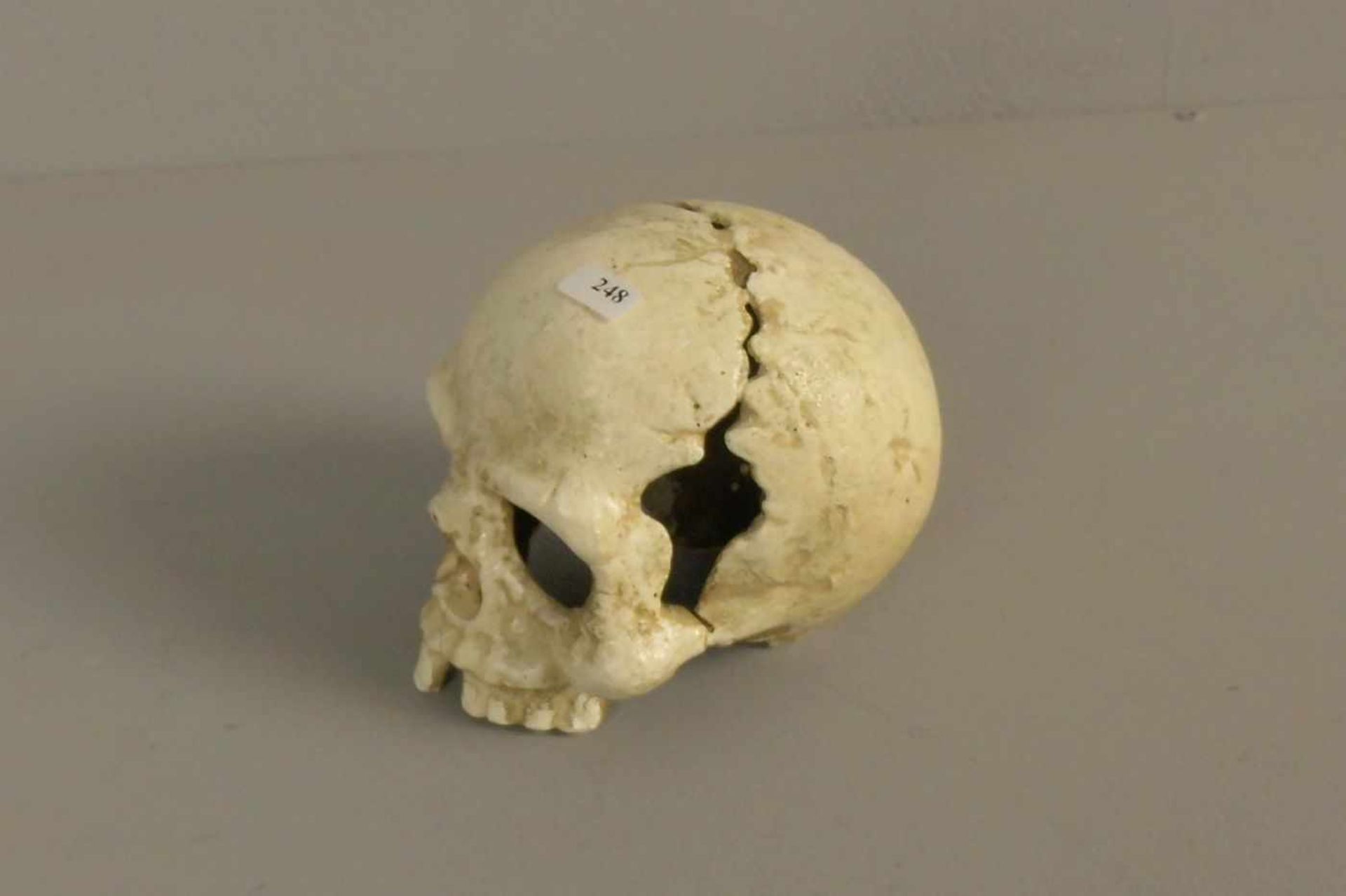 SCHÄDEL / MEMENTO MORI / skull, Eisen, naturalistisch gearbeitet und gefasst. Totenschädel sind seit