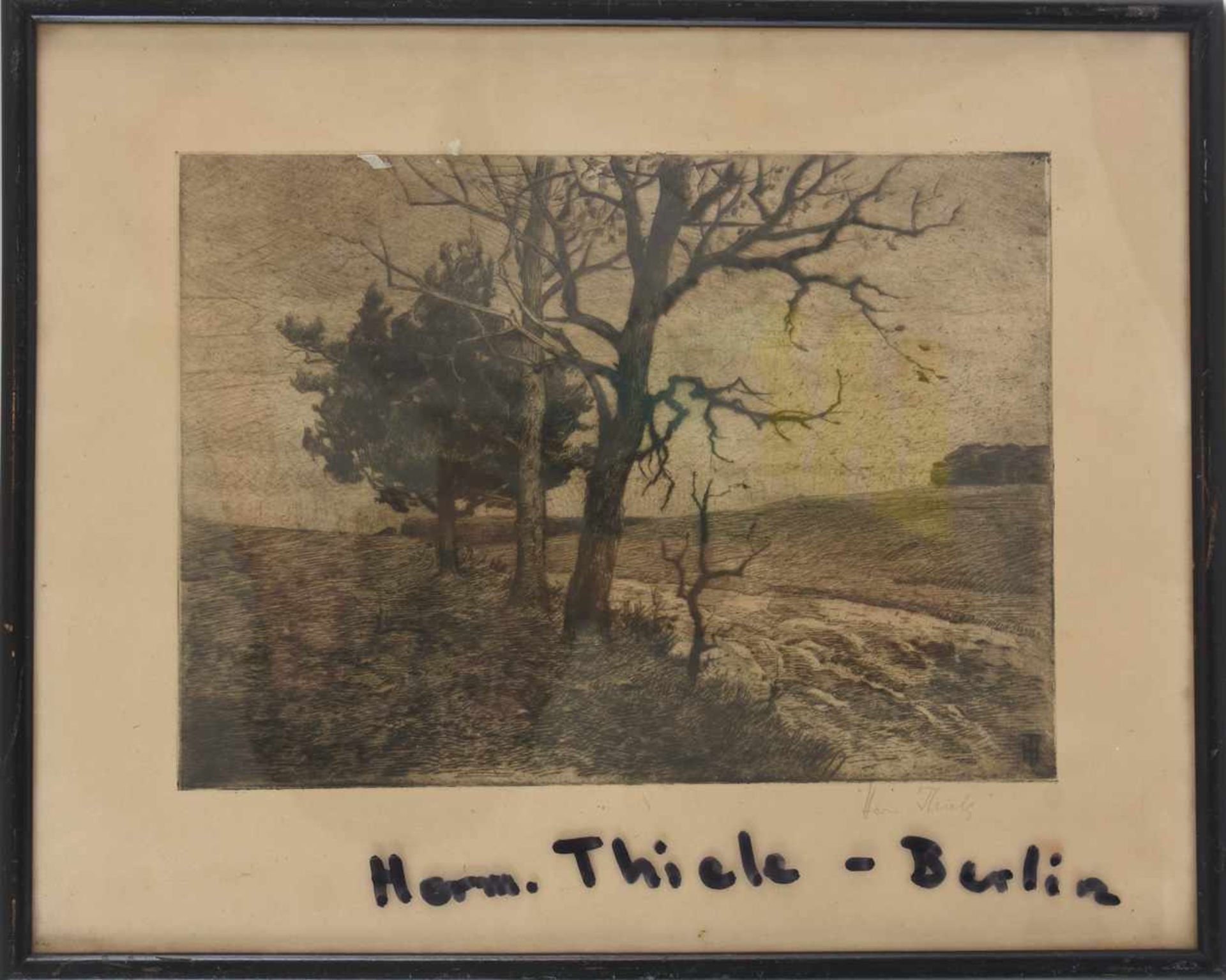 HERMANN THIELE. hinter Glas gerahmt und signiert Rechts unten signiert "Herm.Thiele", Maße mit