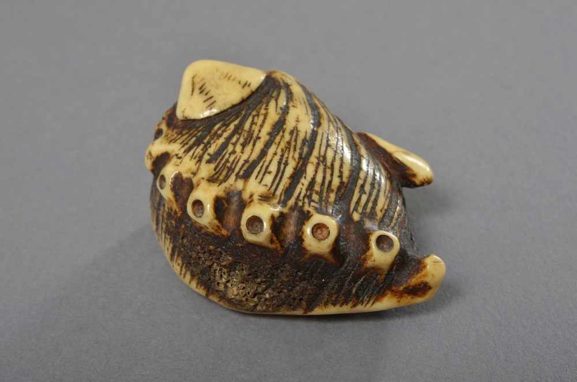 Ringer-Netsuke "Awabi Schnecke mit zwei Venusmuscheln", Hirschhorn, Japan 1. H. 19.Jh., L. 6cm,