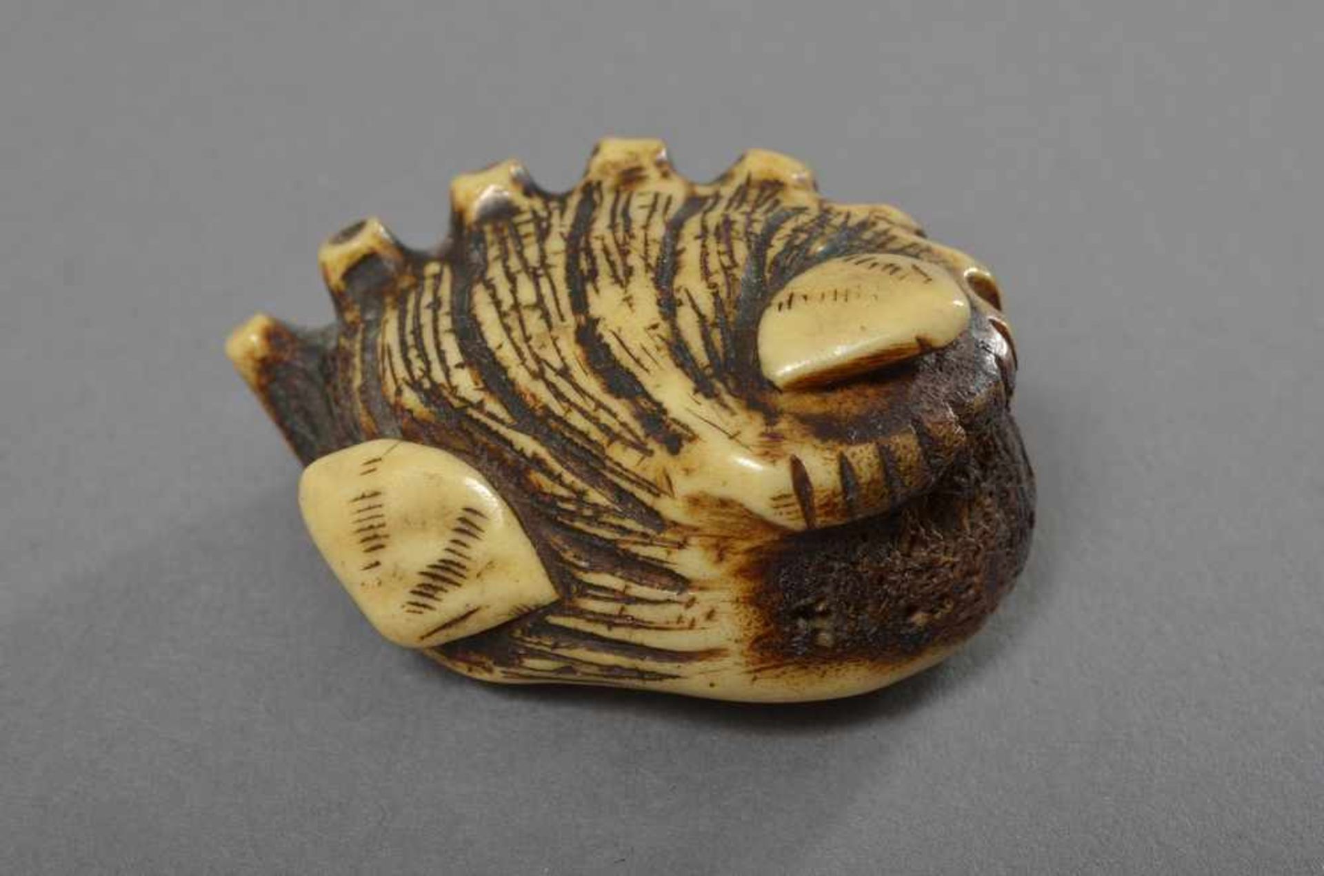 Ringer-Netsuke "Awabi Schnecke mit zwei Venusmuscheln", Hirschhorn, Japan 1. H. 19.Jh., L. 6cm, - Bild 2 aus 4
