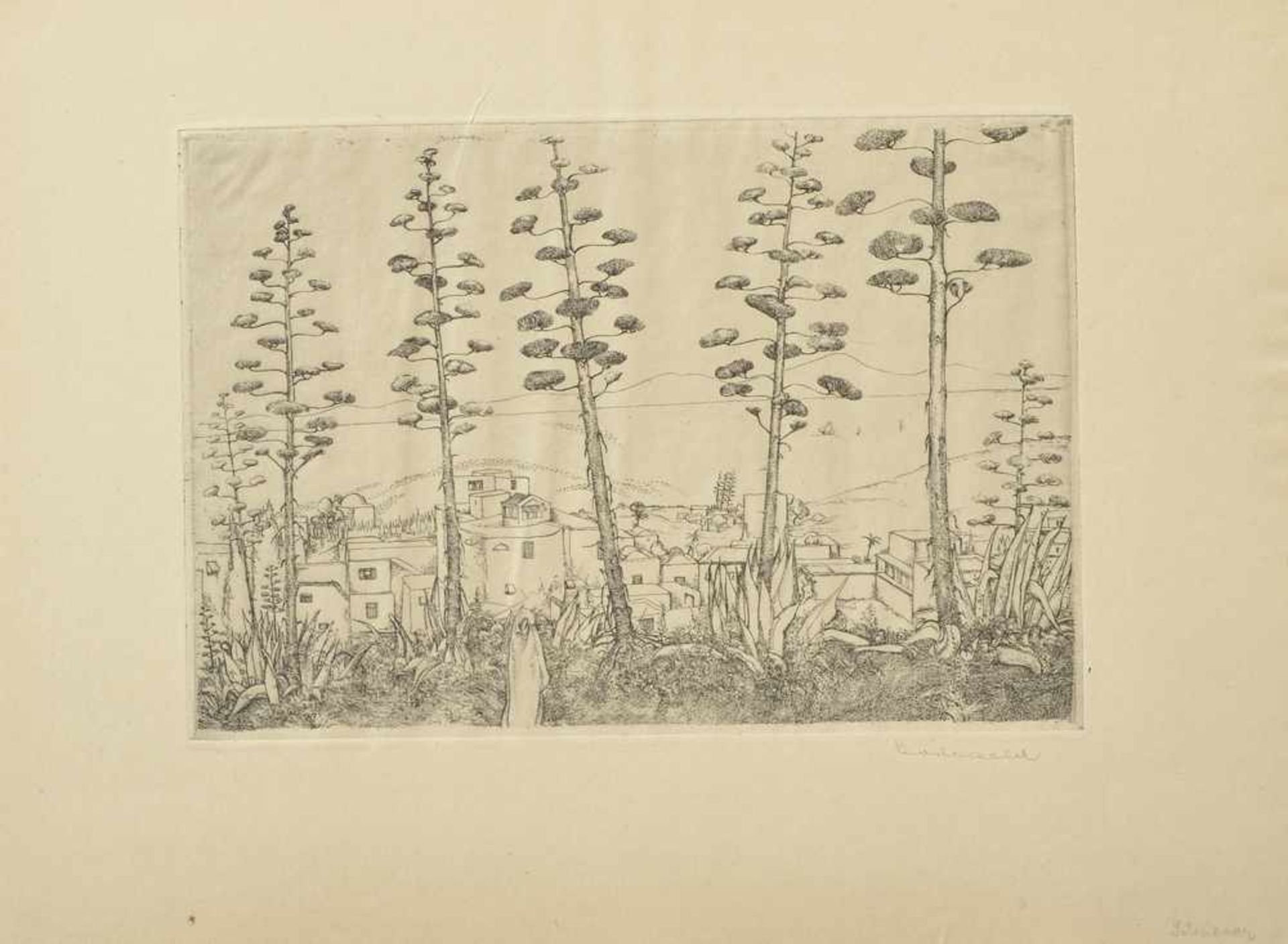 5 Diverse Griffelkunst Blätter: Habl, Willy (1888-1965) "Zirkus" 1931, Radierung, 16x24/26x37cm, - Image 4 of 6