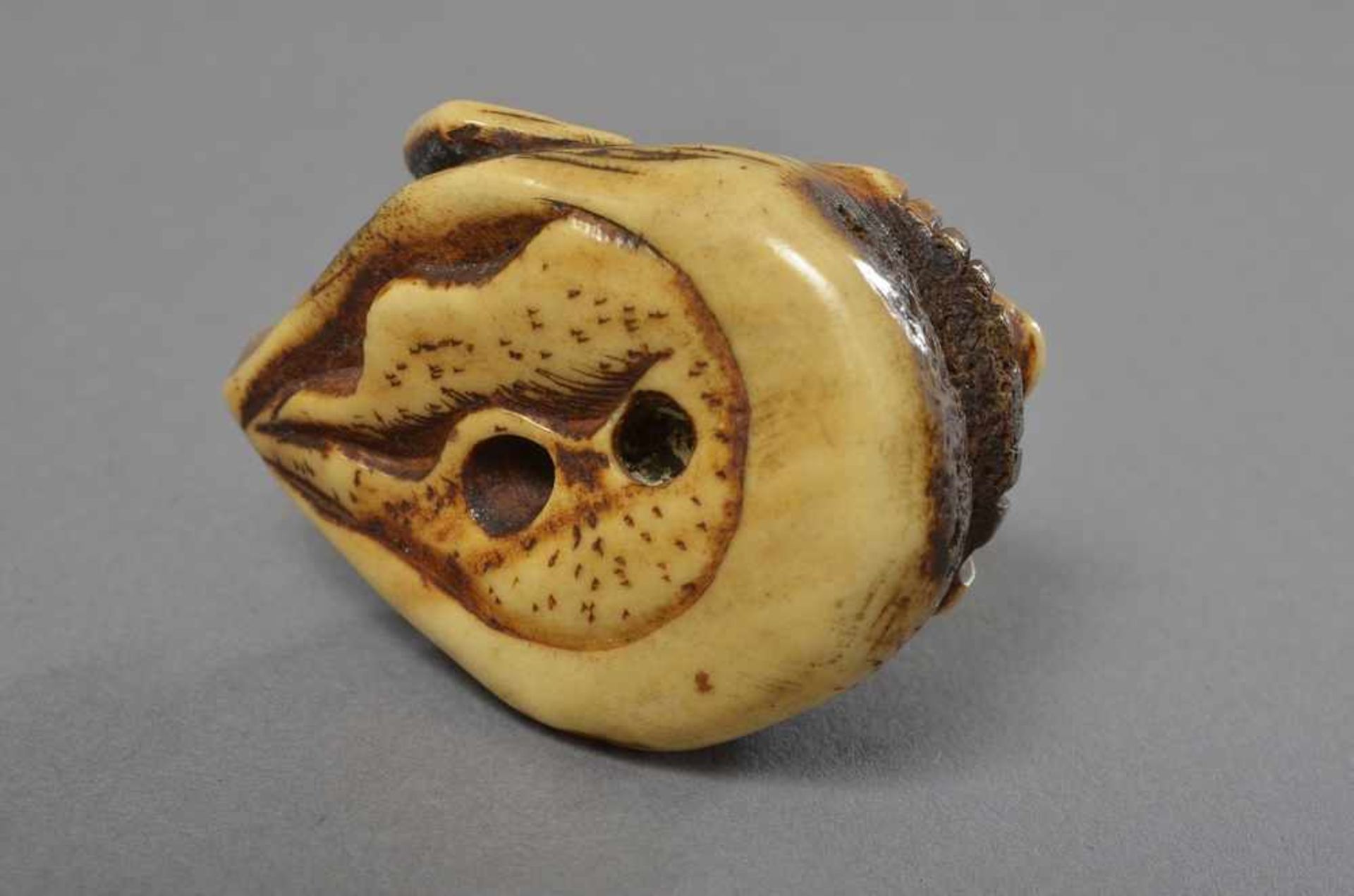 Ringer-Netsuke "Awabi Schnecke mit zwei Venusmuscheln", Hirschhorn, Japan 1. H. 19.Jh., L. 6cm, - Bild 4 aus 4
