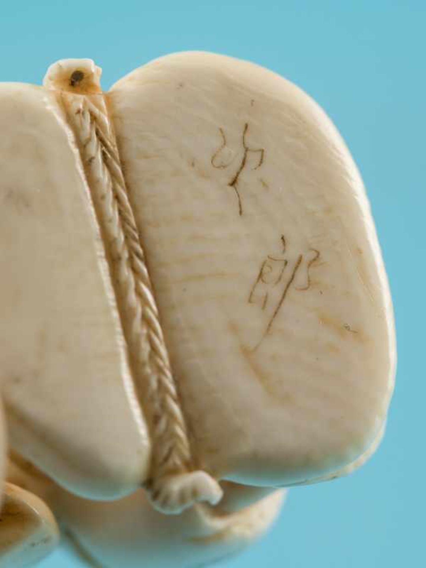 Netsuke, Anfang 20. Jh. Elfenbein mit leicht geschwärzten Konturenlinien. Auf einem naturalistischen - Bild 4 aus 9