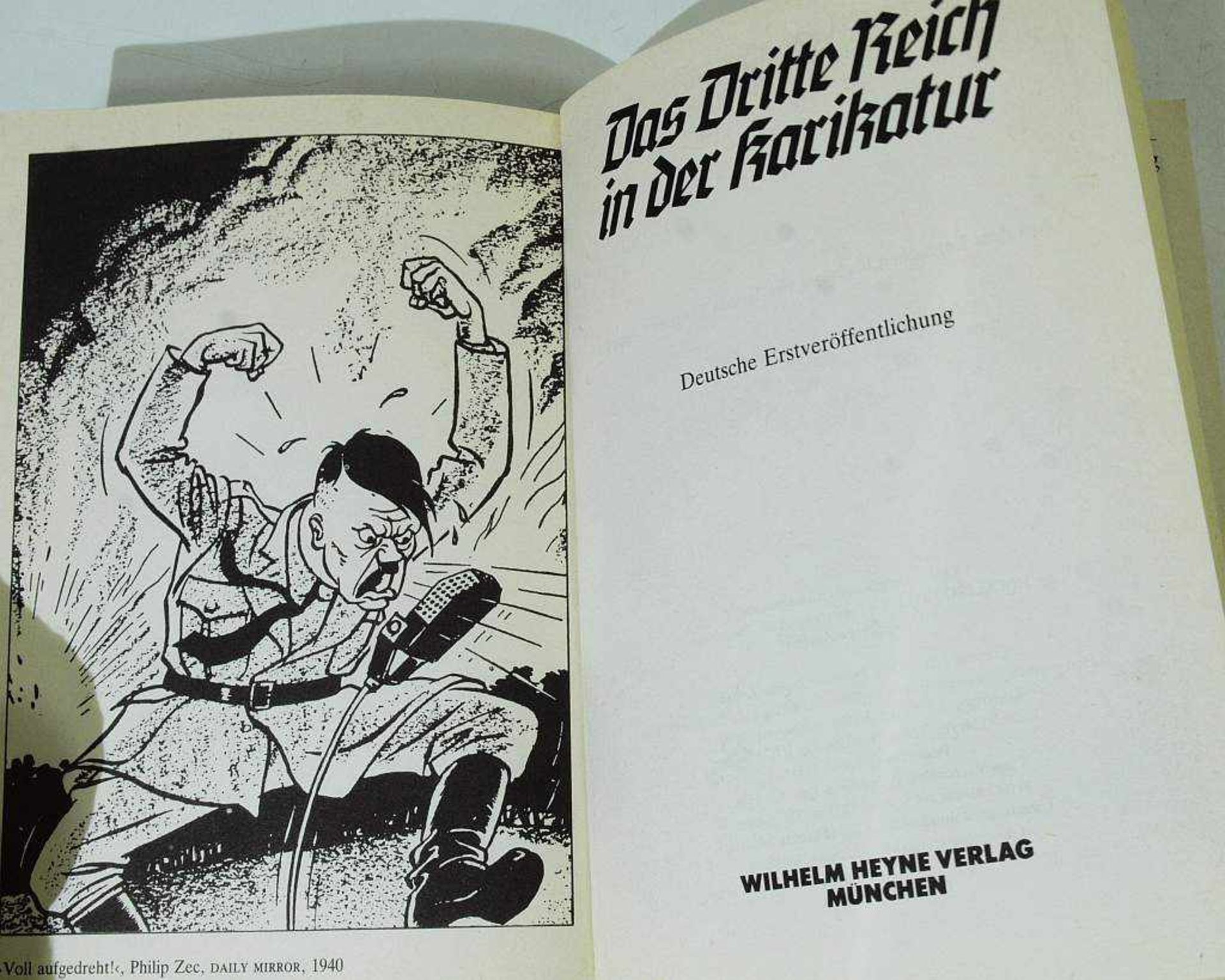 Adolf Hitler. Mein Kampf, 1. und .2. Band. Adolf Hitler. Mein Kampf, 1. und .2. Band. Ausgabe in - Bild 6 aus 6