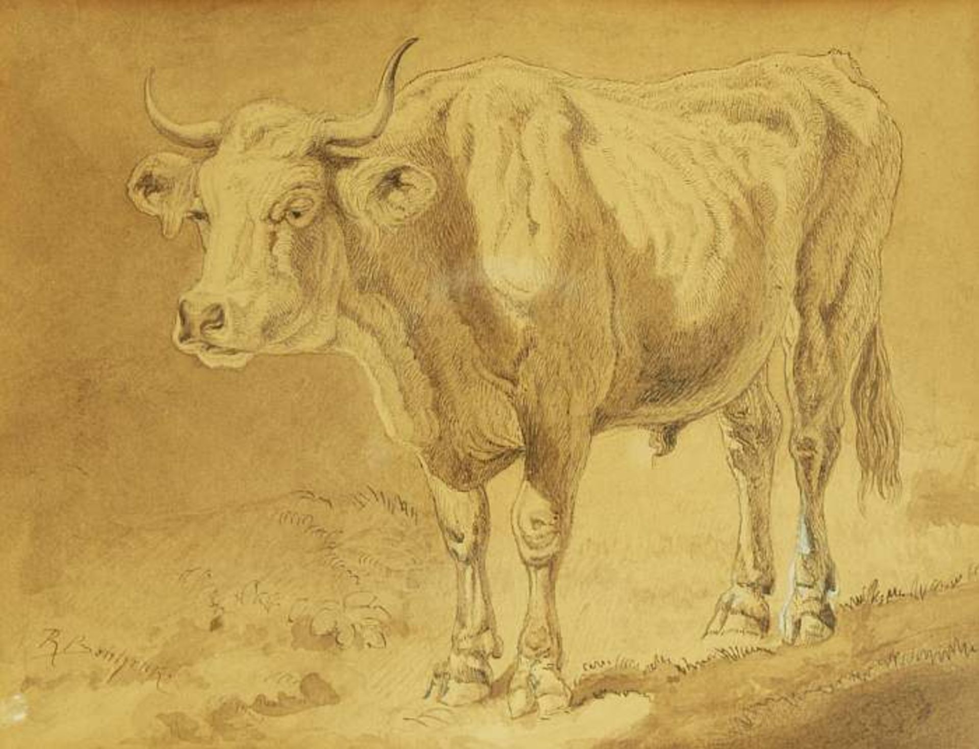 BONHEUR, Rosa. BONHEUR, Rosa. 1822 - 1899. Studie, Tierdarstellung Ochse. Handzeichnung. Unter