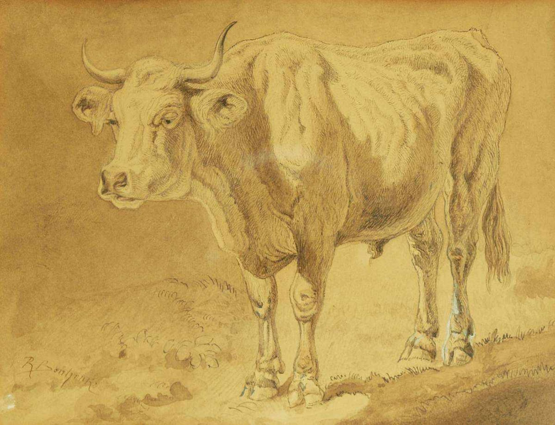 BONHEUR, Rosa. BONHEUR, Rosa. 1822 - 1899. Studie, Tierdarstellung Ochse. Handzeichnung. Unter - Bild 2 aus 6