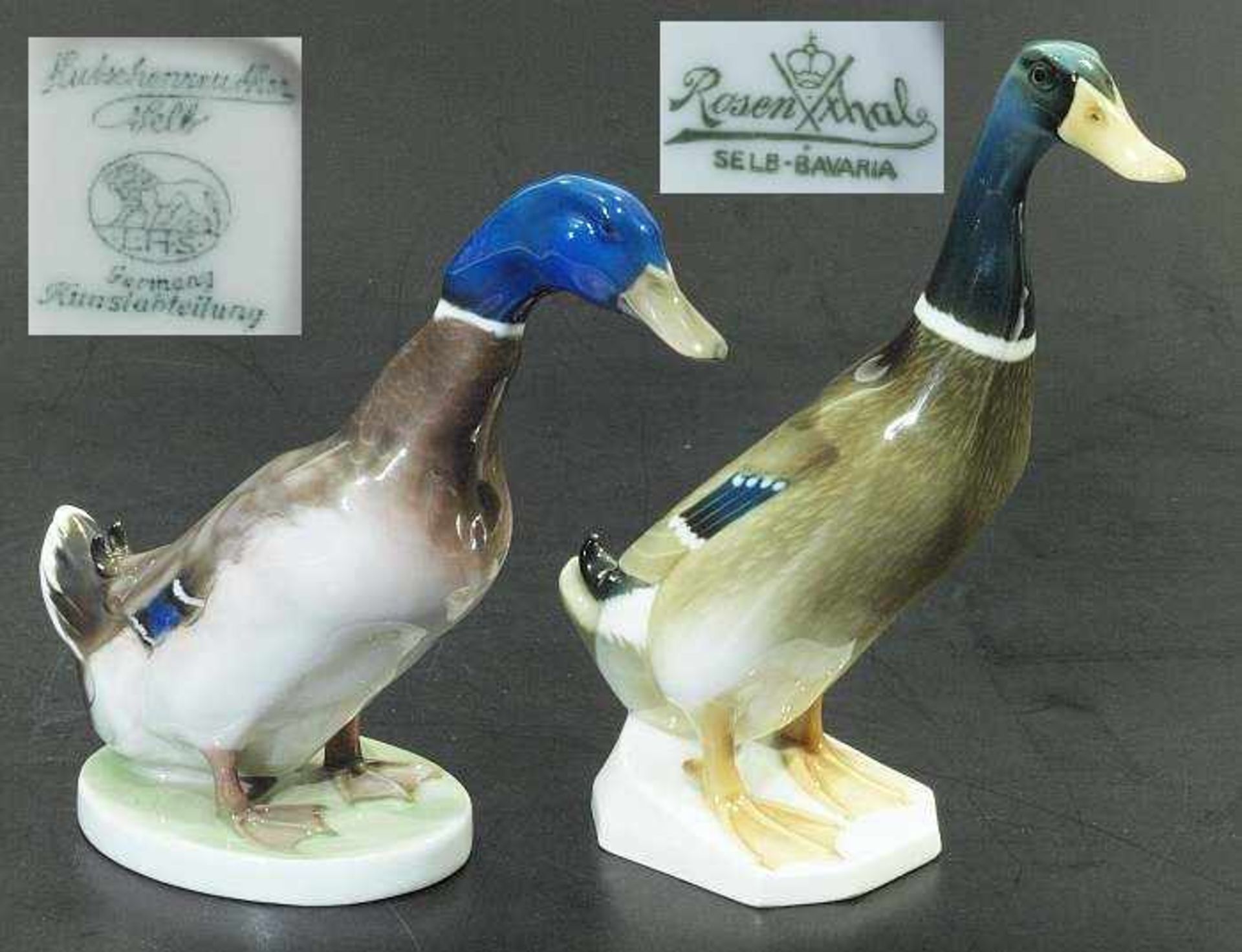 Ente ROSENTHAL und Laufente HUTSCHENREUTHER. 1) Ente ROSENTHAL Selb Bavaria, Entwurf Willy Zügel,