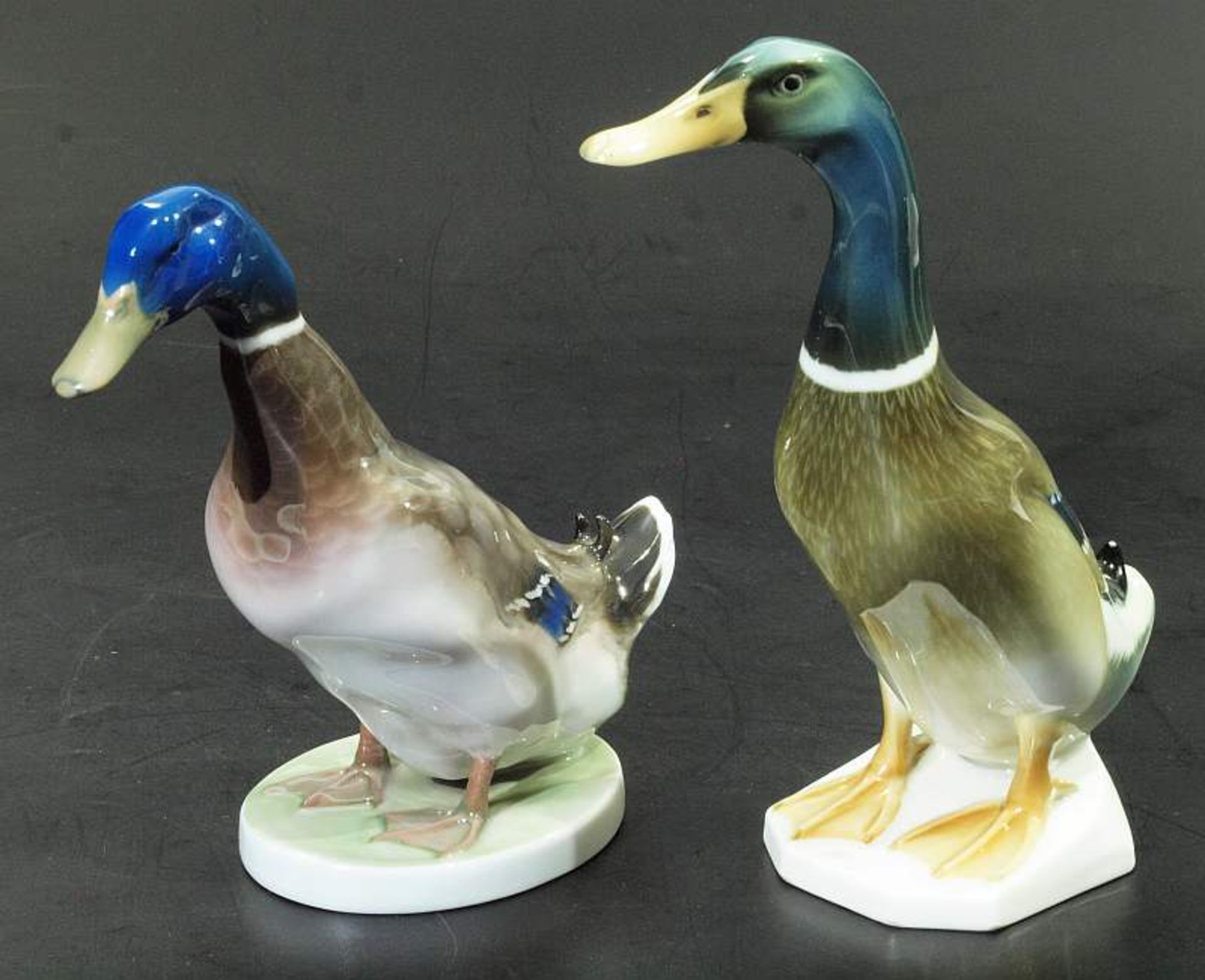 Ente ROSENTHAL und Laufente HUTSCHENREUTHER. 1) Ente ROSENTHAL Selb Bavaria, Entwurf Willy Zügel, - Bild 3 aus 7