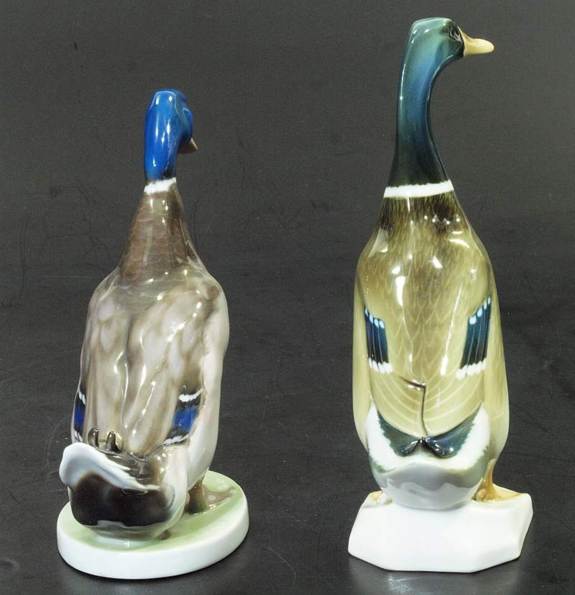 Ente ROSENTHAL und Laufente HUTSCHENREUTHER. 1) Ente ROSENTHAL Selb Bavaria, Entwurf Willy Zügel, - Bild 4 aus 7