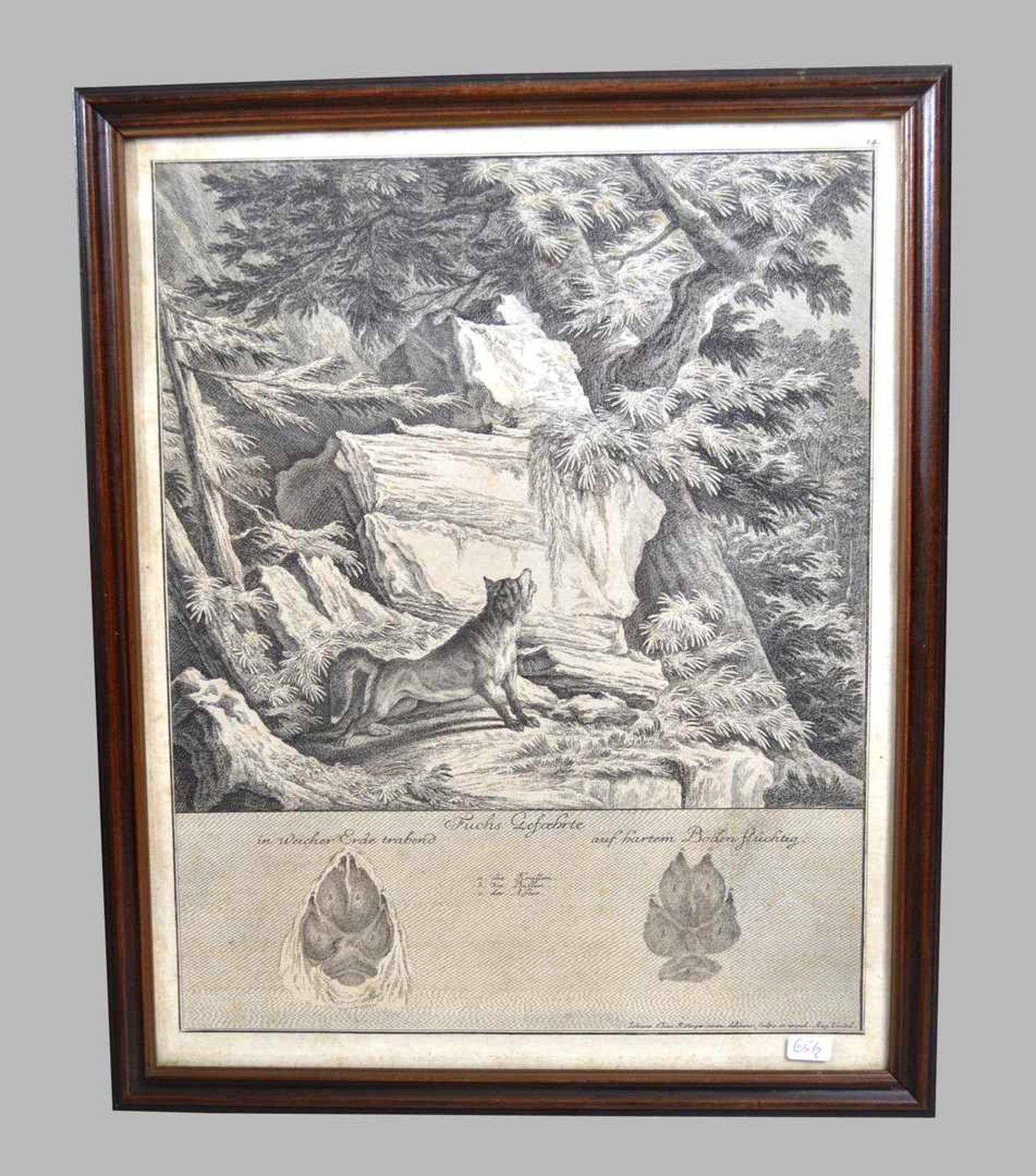 Kupferstich Fuchs im Unterholz, u.r.sign. Ridinger, im Rahmen, 34 X 42 cm, 18. Jh.