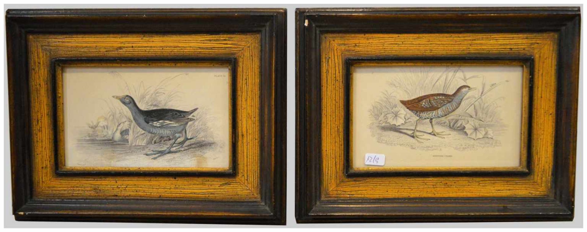 Zwei Holzschnitte Wasservögel, coloriert, im Rahmen, 19 X 25 cm, um 1900