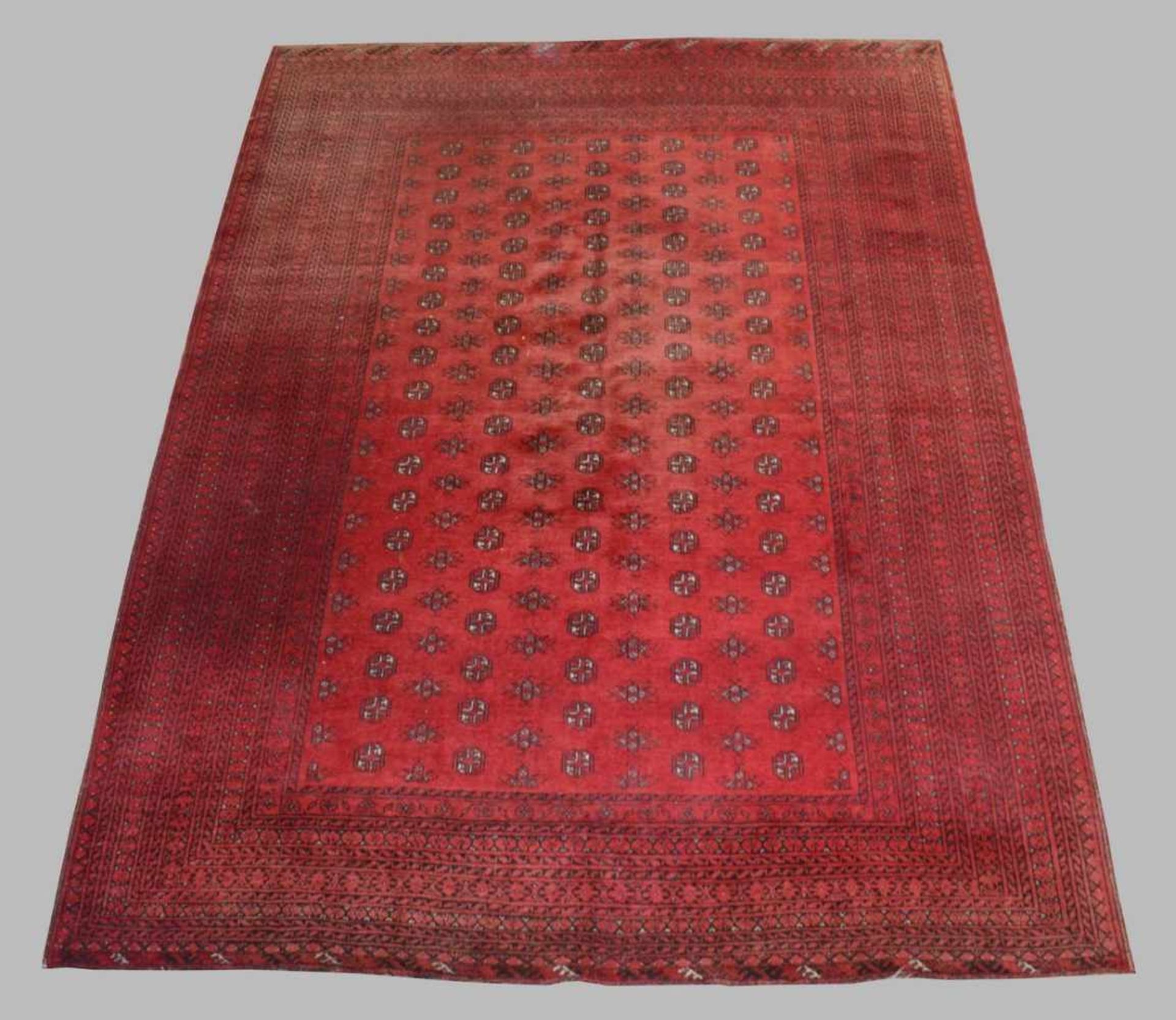 Afghan 273 X 201 cm, 5,48 qm