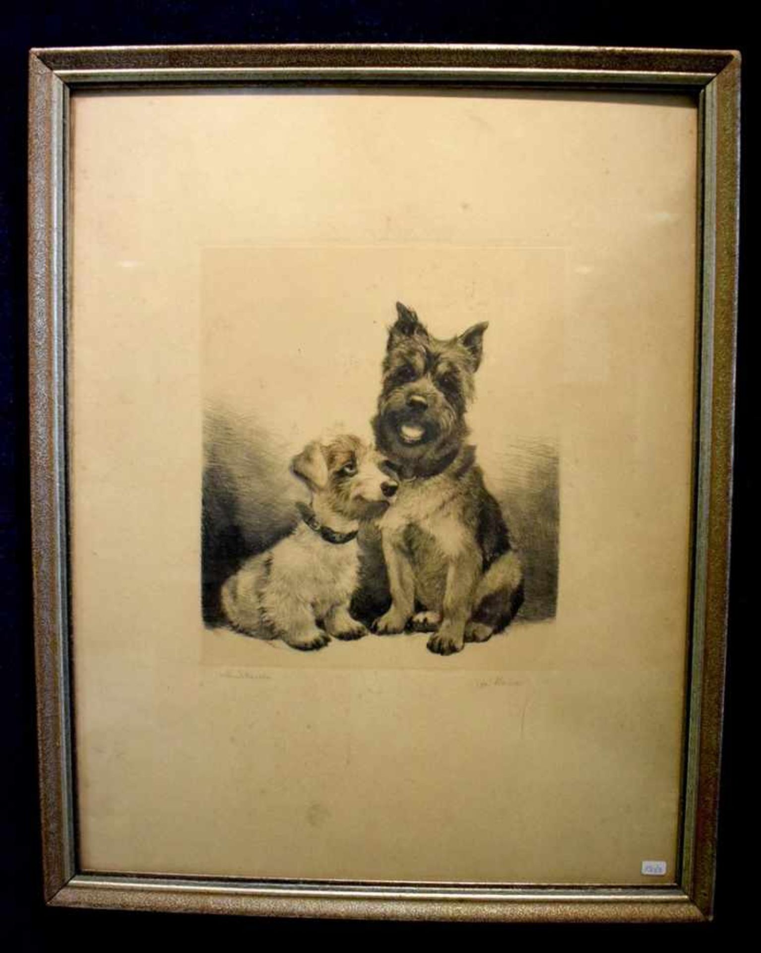 Radierung Zwei Hunde, u.r.sign., 25 X 30 cm, Rahmen