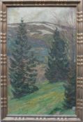 Anonym (um 1900) "Schwarzwaldlandschaft"; Blick über Tannen auf Hügel mit schneebedeckten Wiesen;
