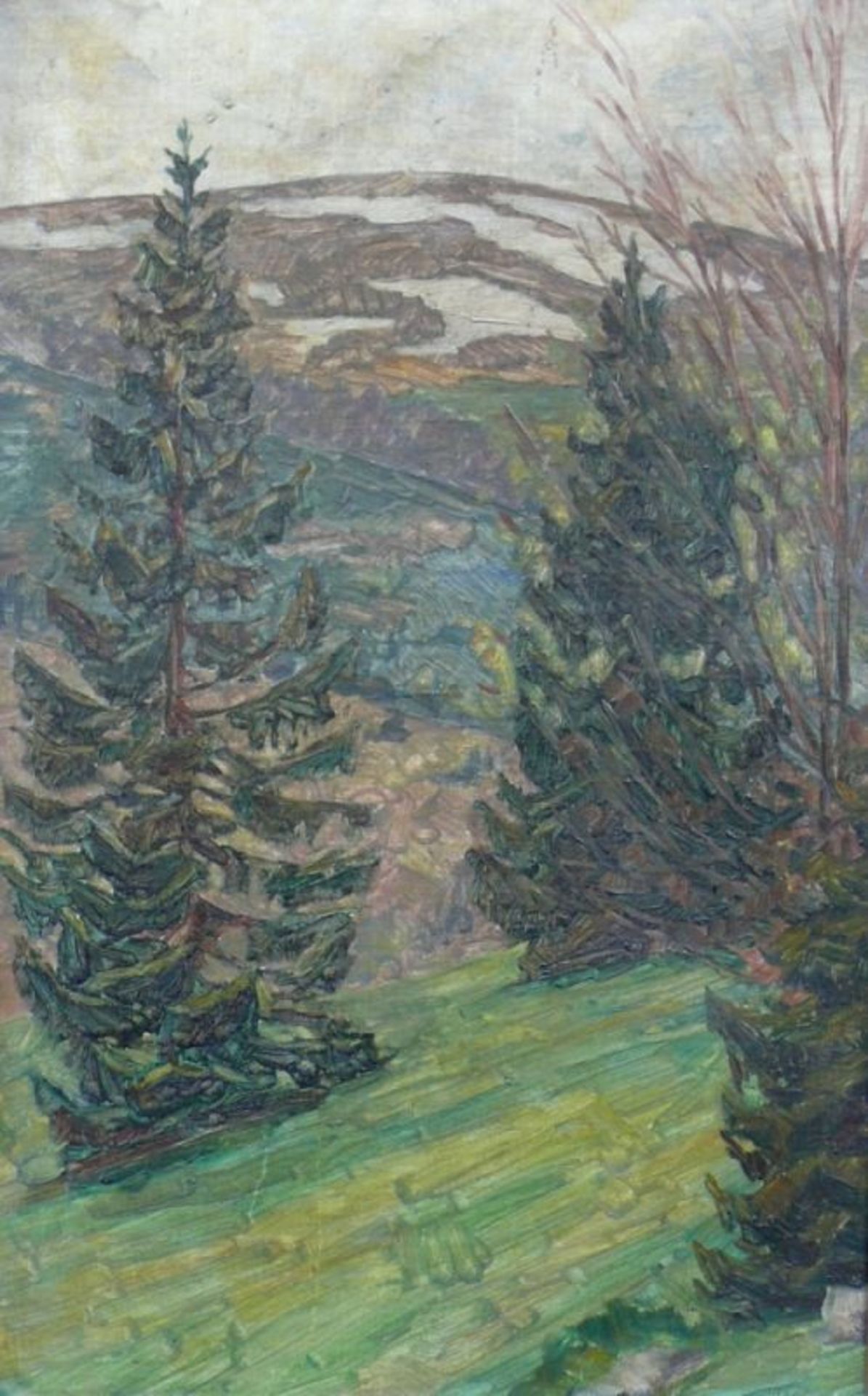 Anonym (um 1900) "Schwarzwaldlandschaft"; Blick über Tannen auf Hügel mit schneebedeckten Wiesen; - Bild 2 aus 4