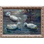 Gerard, P. (19./20.Jh.) "4 Enten in Teich"; ÖL/LW; sign.; ca. 41 x 60,5 cm; R; verso auf LW nochmals