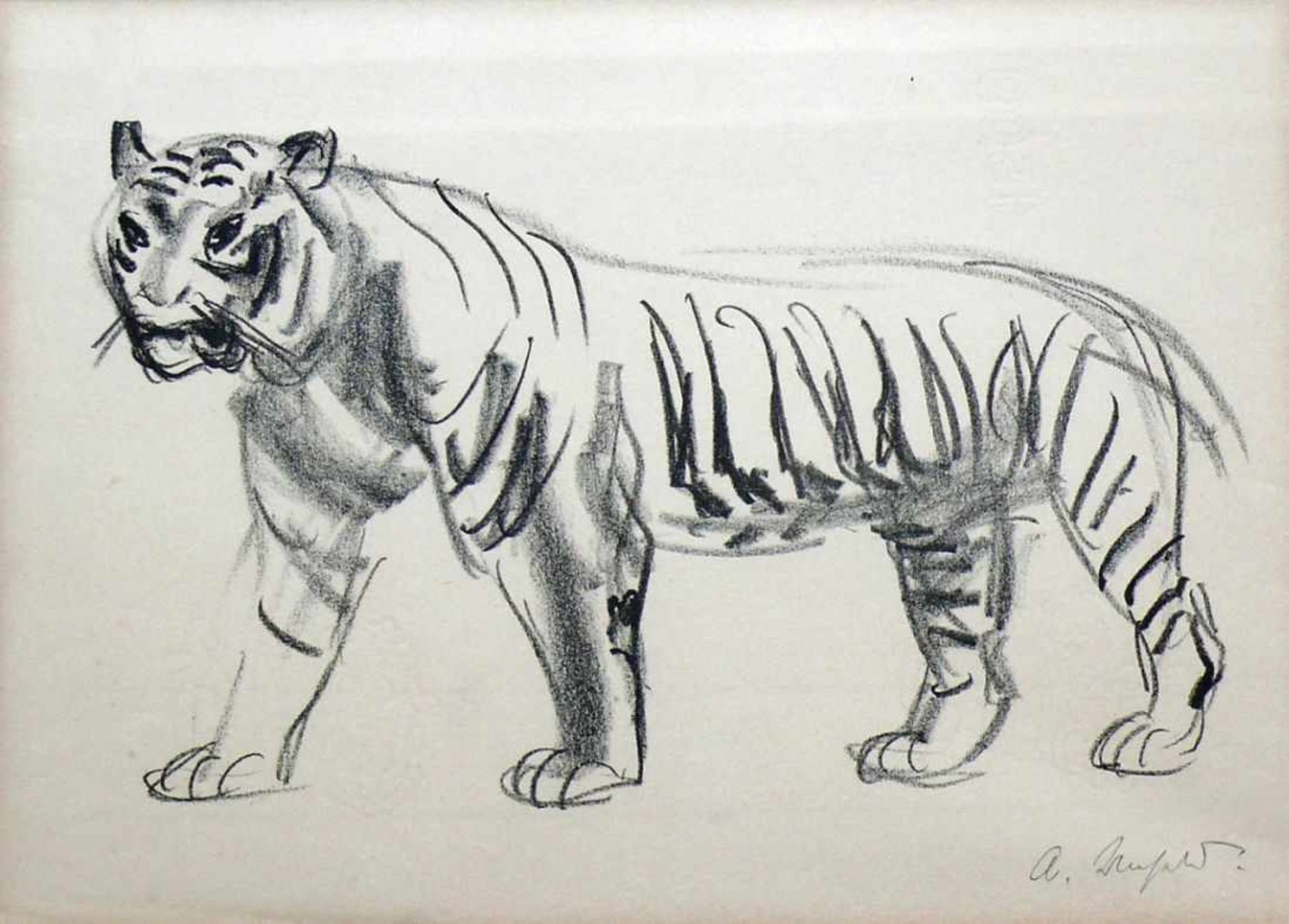 Unseld, albert (1879 - 1964 Ulm) "Schreitender Tiger"; Kohlezeichnung; rechts unten signiert; ca. 32 - Bild 2 aus 3
