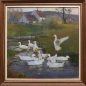 Gräßel, Franz (1861 Obersasbach - 1948 Emmering) "Enten im Wasser"; 12 Enten in seichtem Gewässer;