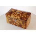 Tortoise shell tea caddy with two