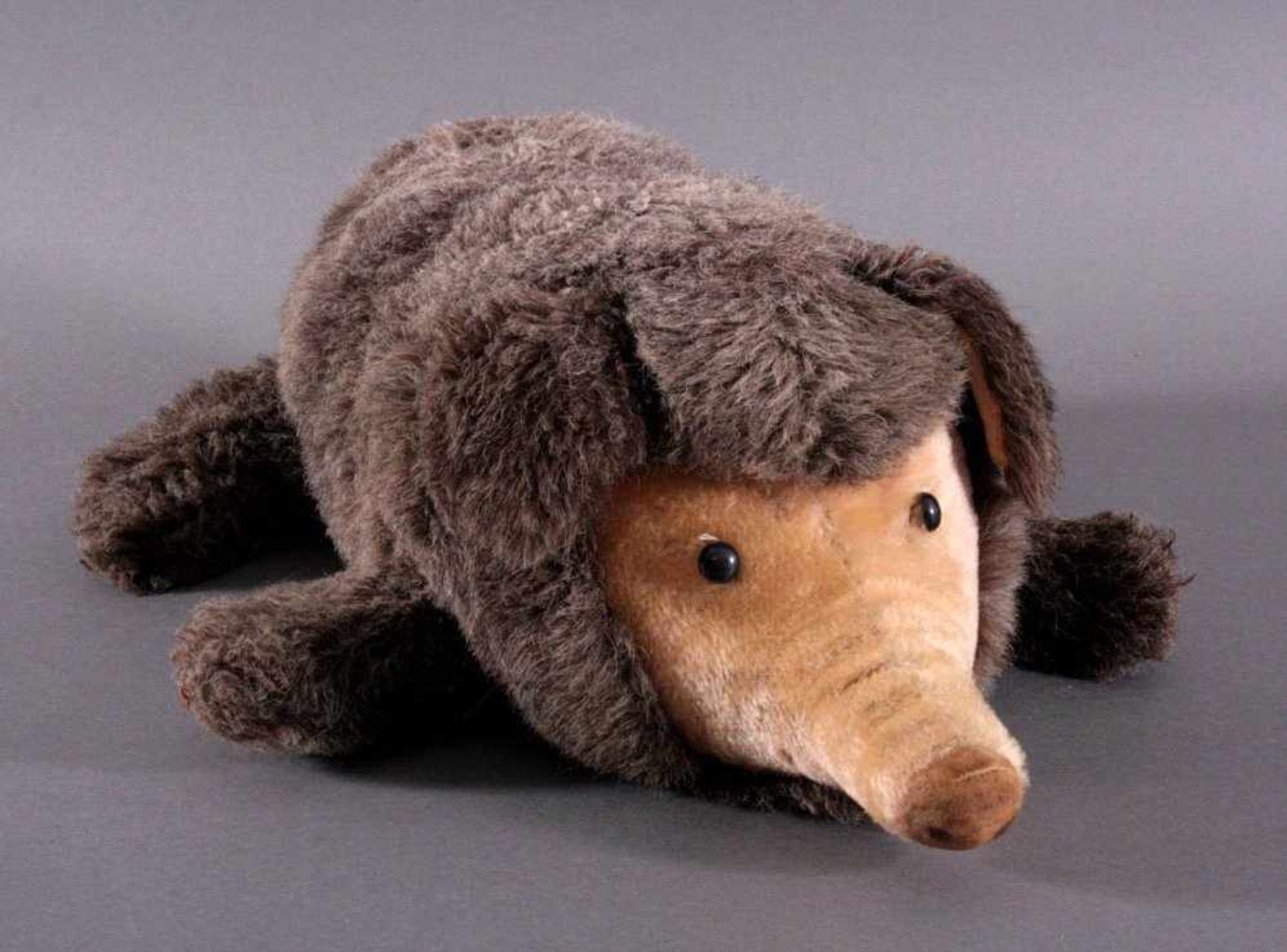 Steiff Wildschwein, liegendwohl um 1960, Knopf im Ohr, ohne Fahne und Brustschild, ca.60 cm