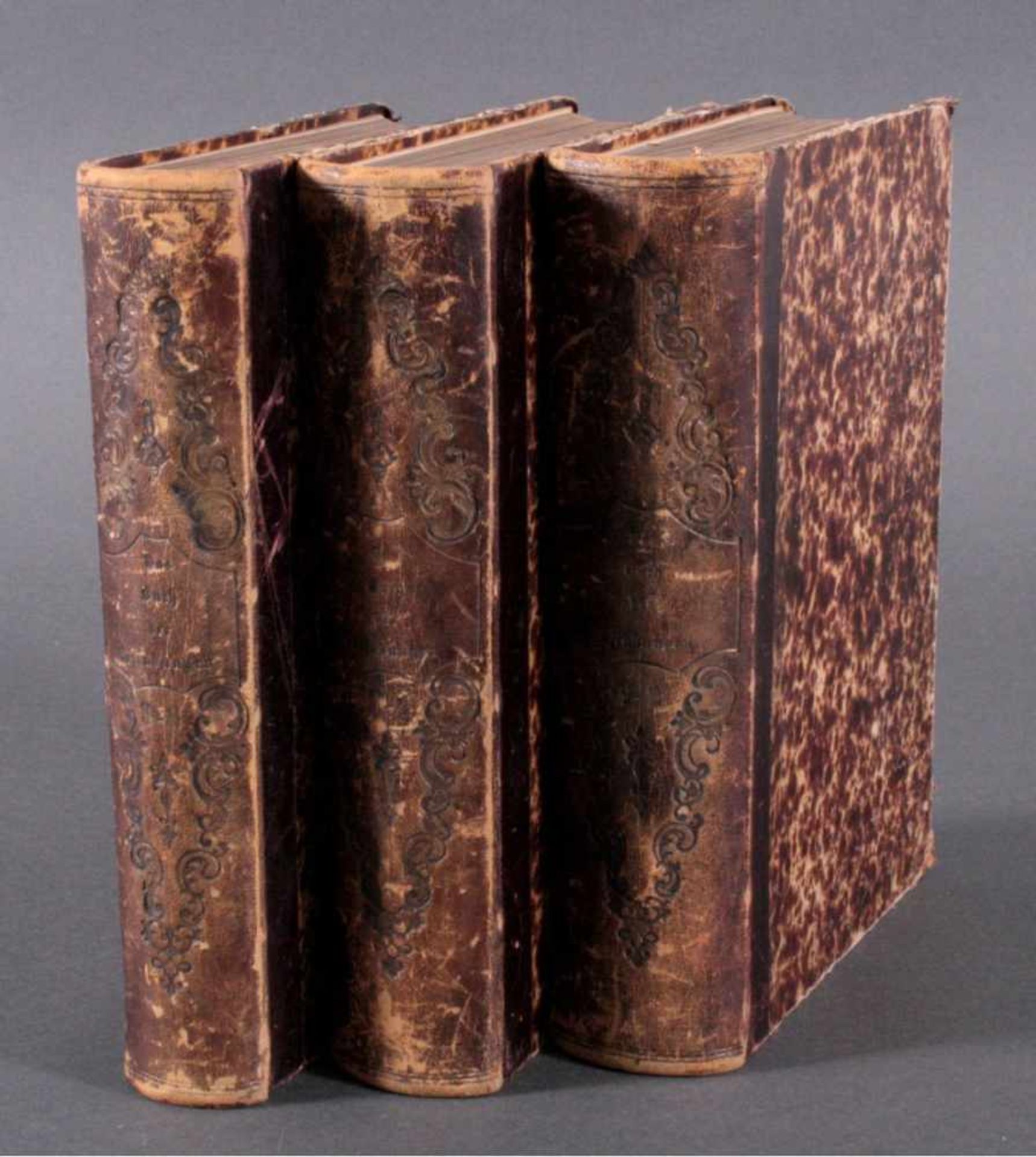 Das neue Buch der Erfindungen, Gewerbe und Industrien, 18643 Bände, Band 1,3 und 5, 1864-1867,