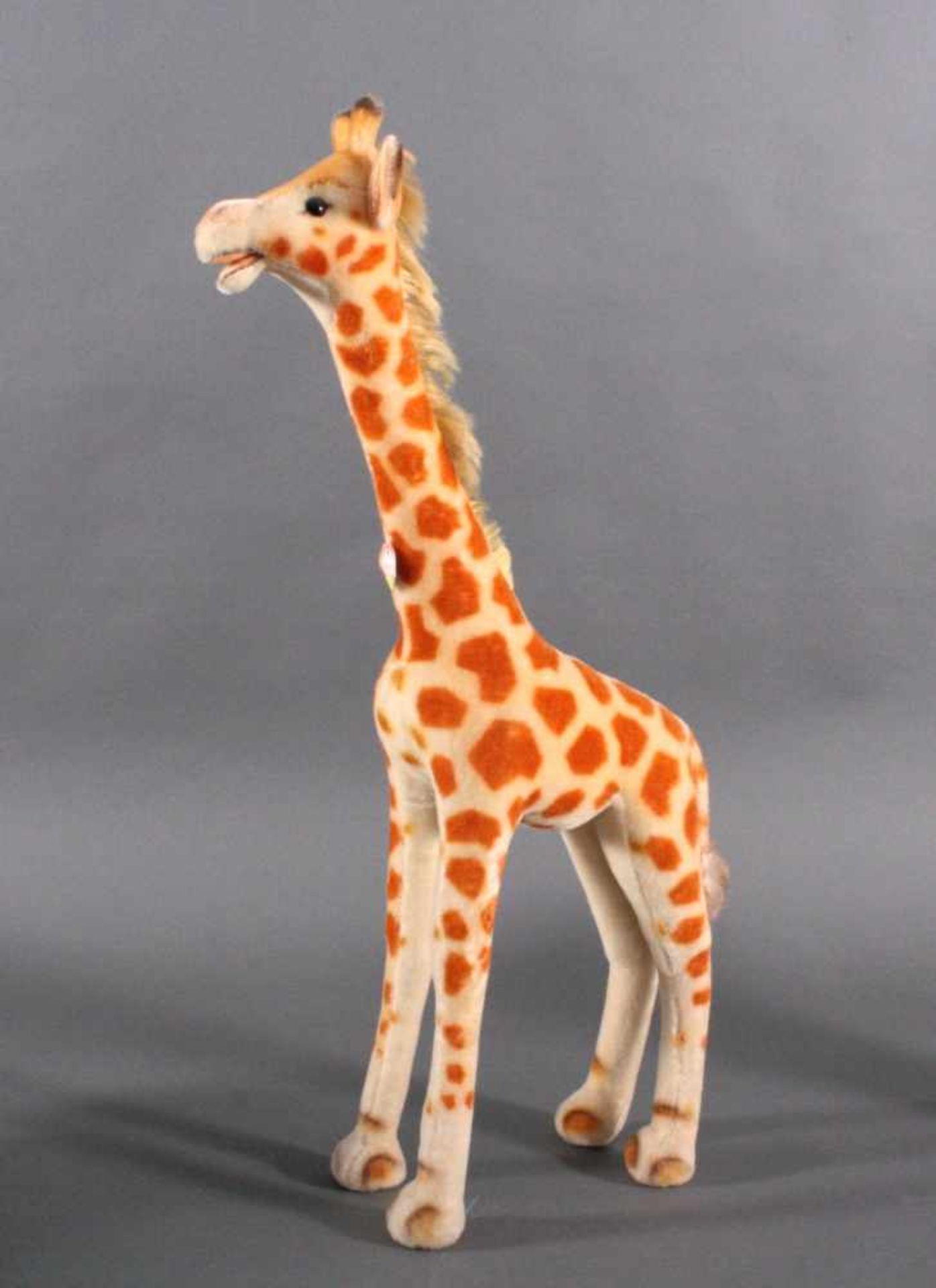 Steiff GiraffeMohair, sehr sauber, nahezu neuwertig, ohne Knopf und Fahne,mit Brustschild, ca. H-