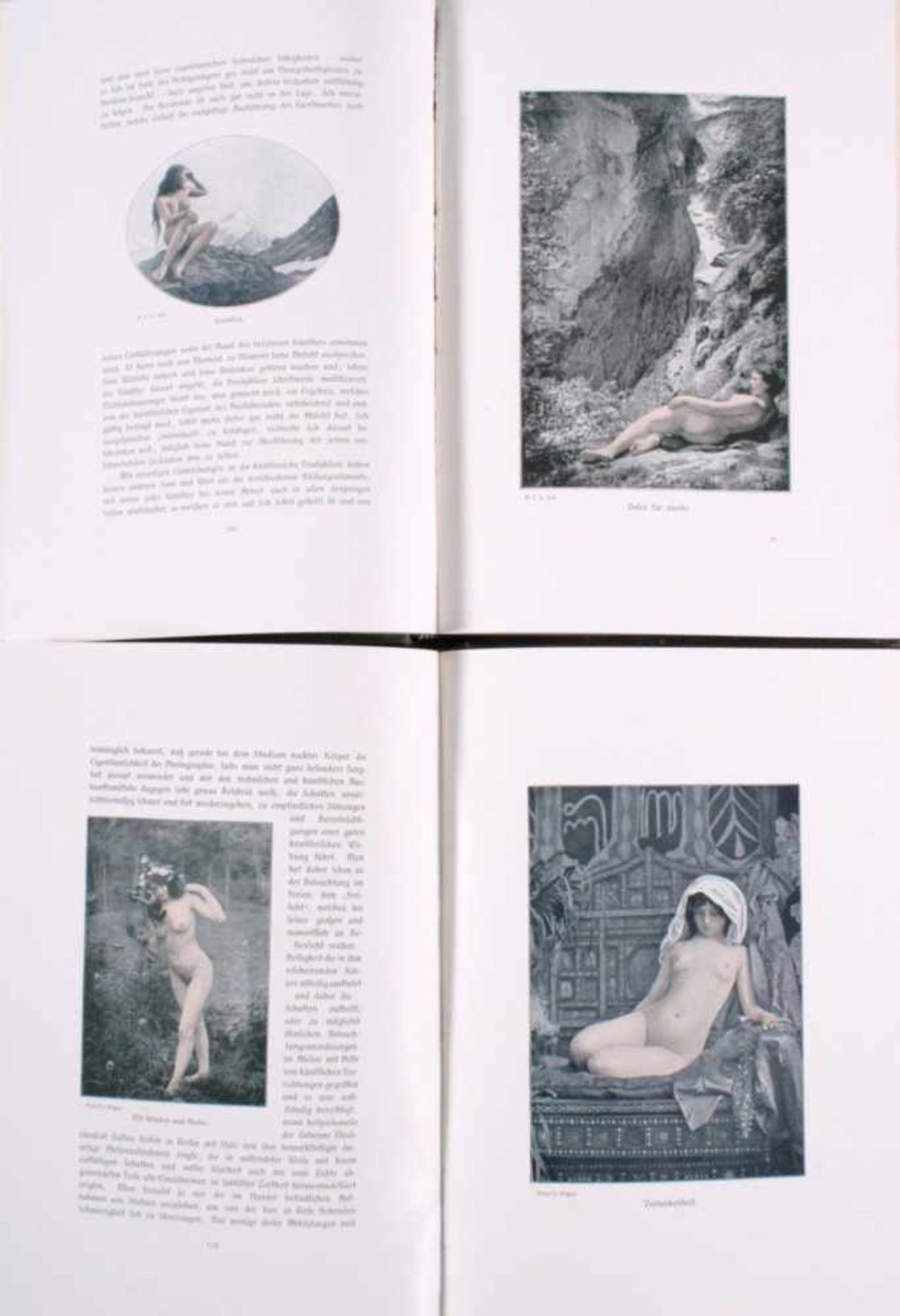 Weibliche Schönheit, 2 BändeKritische Betrachtungen über die Darstellung des Nackten inMalerei und - Bild 2 aus 2