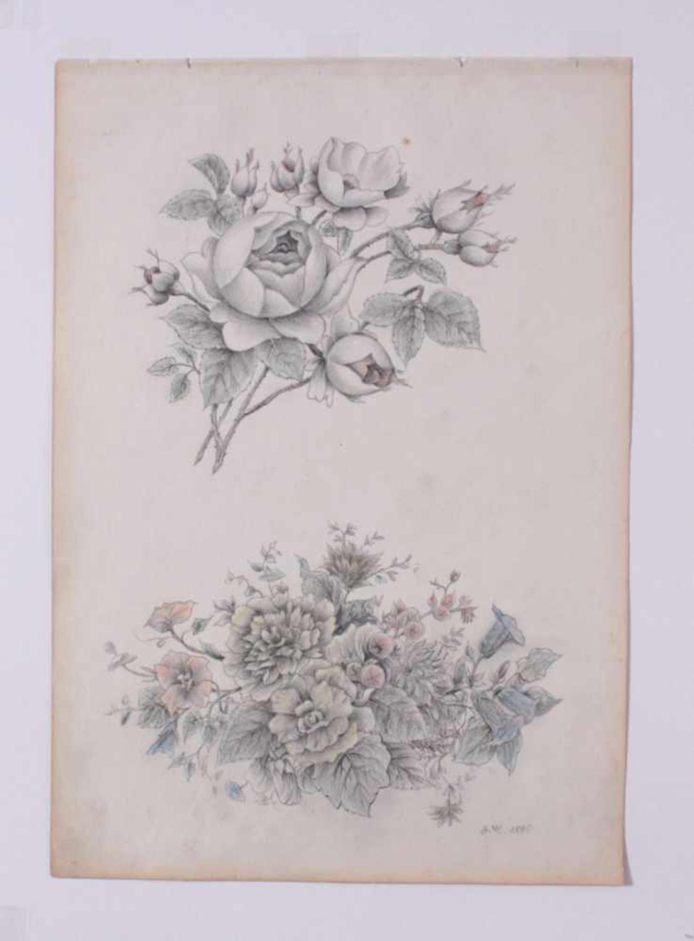 Alois Hämmerle (1862 - Augsburg - 1914)2 Bleistiftzeichnung 1885. "Rosenzweig und Blumengebinde"," - Bild 2 aus 3