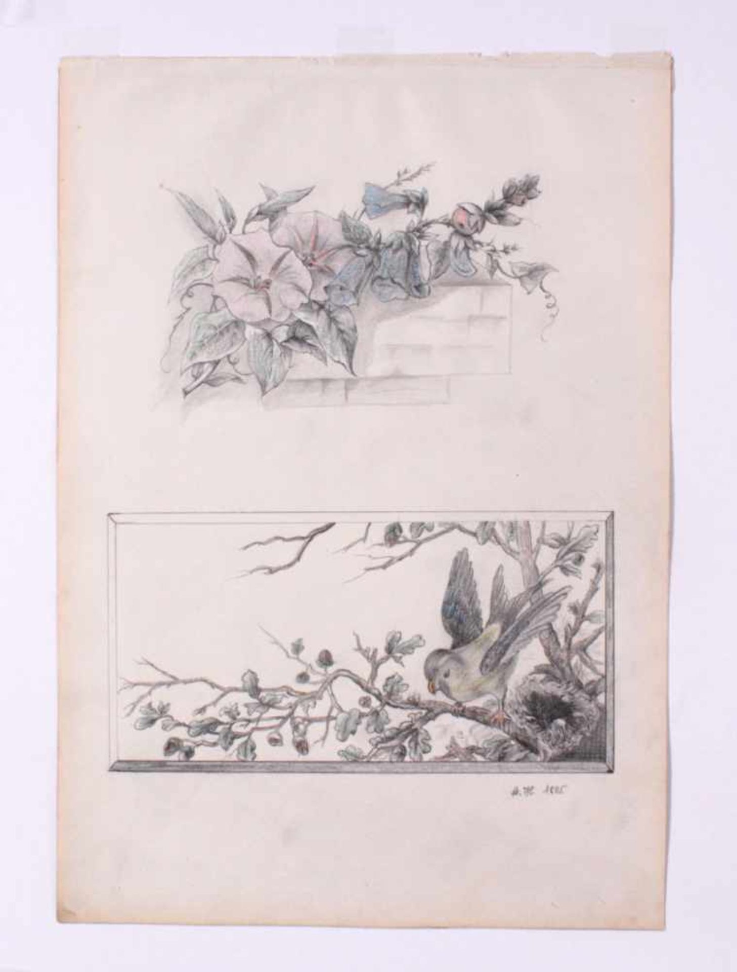 Alois Hämmerle (1862 - Augsburg - 1914)2 Bleistiftzeichnung 1885. "Rosenzweig und Blumengebinde"," - Bild 3 aus 3