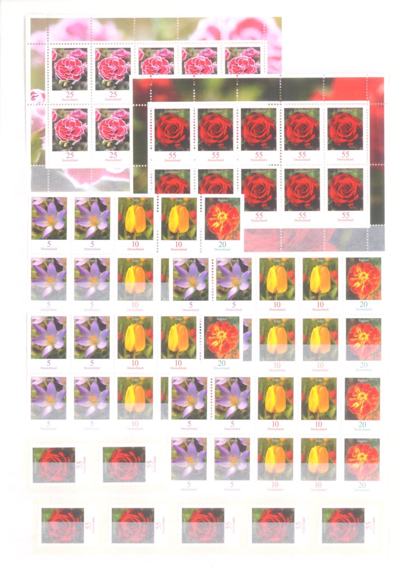 BUND 2005-2008, Dauerserie BLUMEN, NOMINALE mit 39 EUROpostfrisches Lot dieser schönen Dauerserie, - Bild 2 aus 2