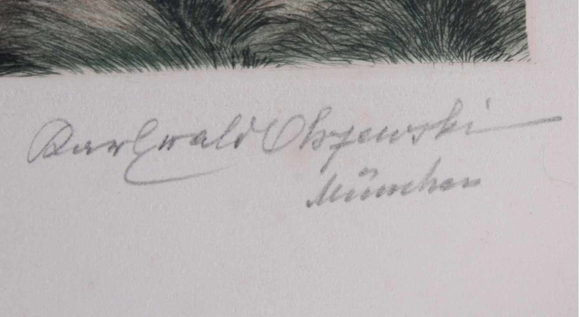Karl Ewald Olszewski 1884-1965Aquarell auf Papier, 2 Graureiher am Tümpel, unten rechtsmit Bleistift - Bild 3 aus 6
