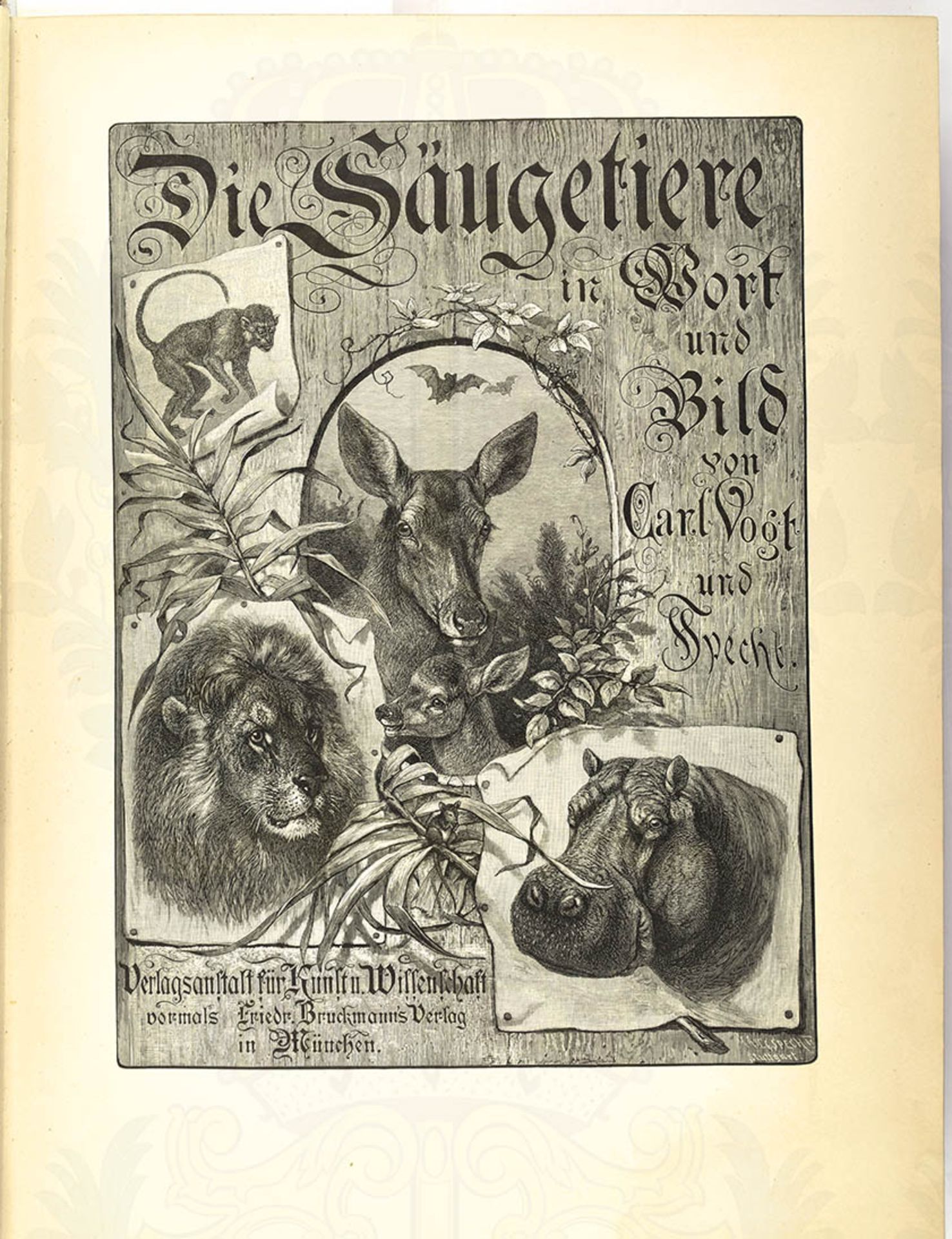 DIE SÄUGETIERE IN WORT UND BILD, C. Vogt u. F. Specht, München 1883, 462 S., zahlr. Holzstiche auf - Bild 2 aus 2