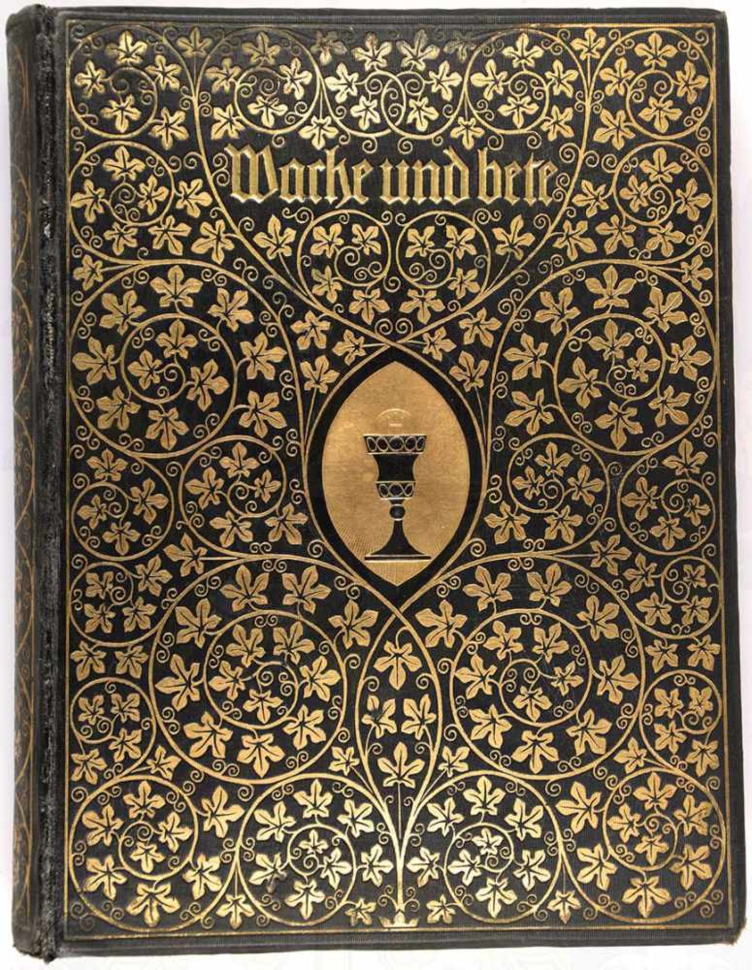 WACHE UND BETE, „Illustrierte evangelische Hausagende“, Braunschweig 1911, 558 S., Frontispiz fehlt,