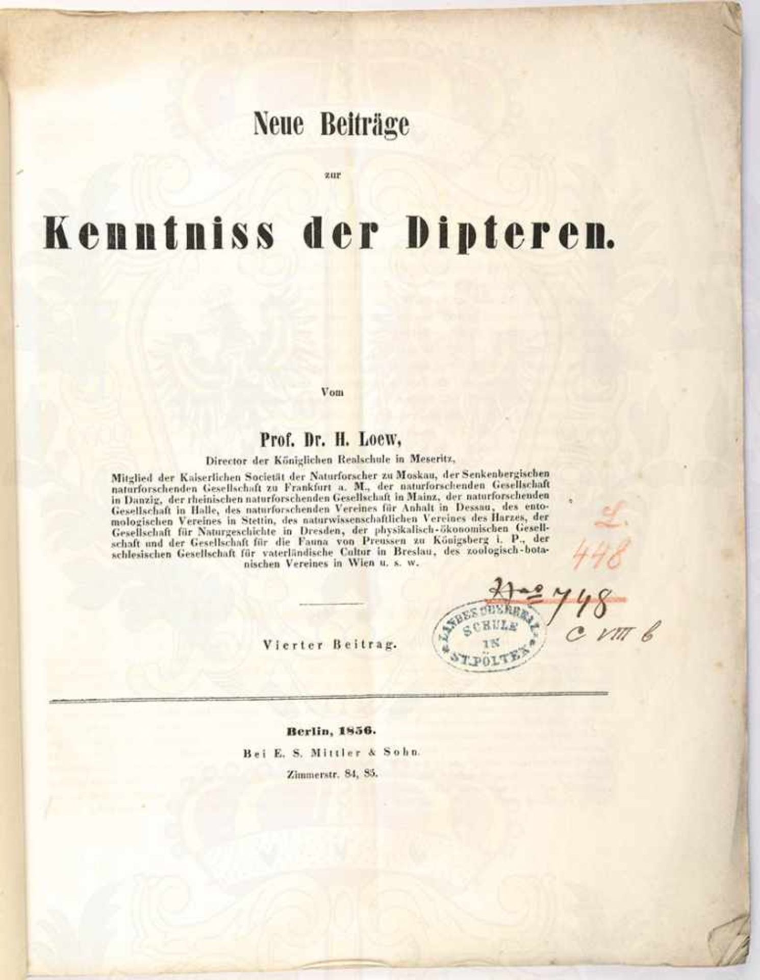 NEUE BEITRÄGE ZUR KENNTNIS DER DIPTEREN, (zweiflüglige Insekten), H. Loew, Berlin 1856, 56 S.,