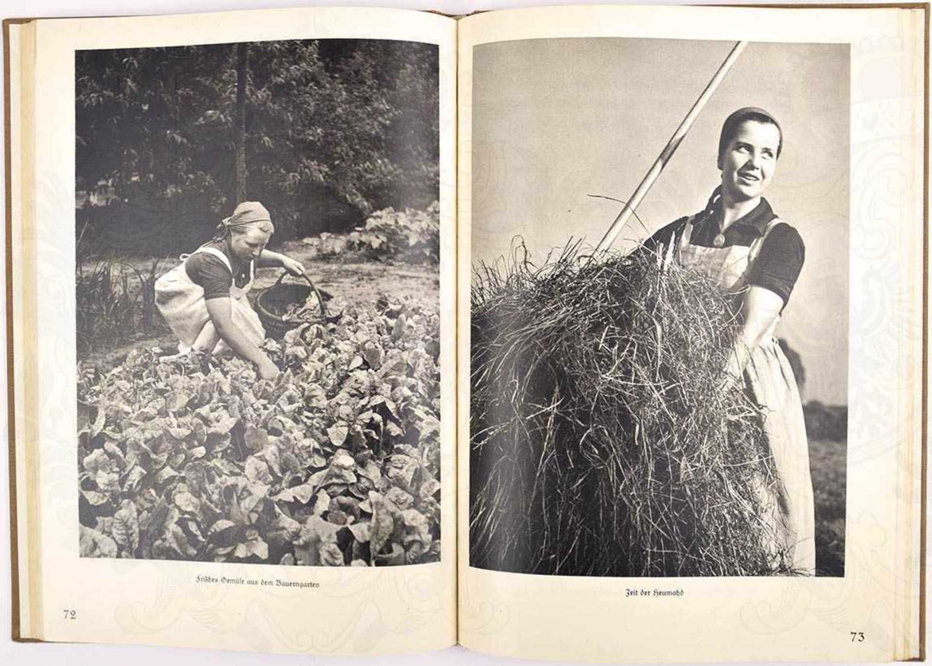 ARBEITSMAIDEN AM WERK, H. Retzlaff, Fotoband, Lpz. 1940, 136 S., gld.gepr. Ln. - Bild 2 aus 2