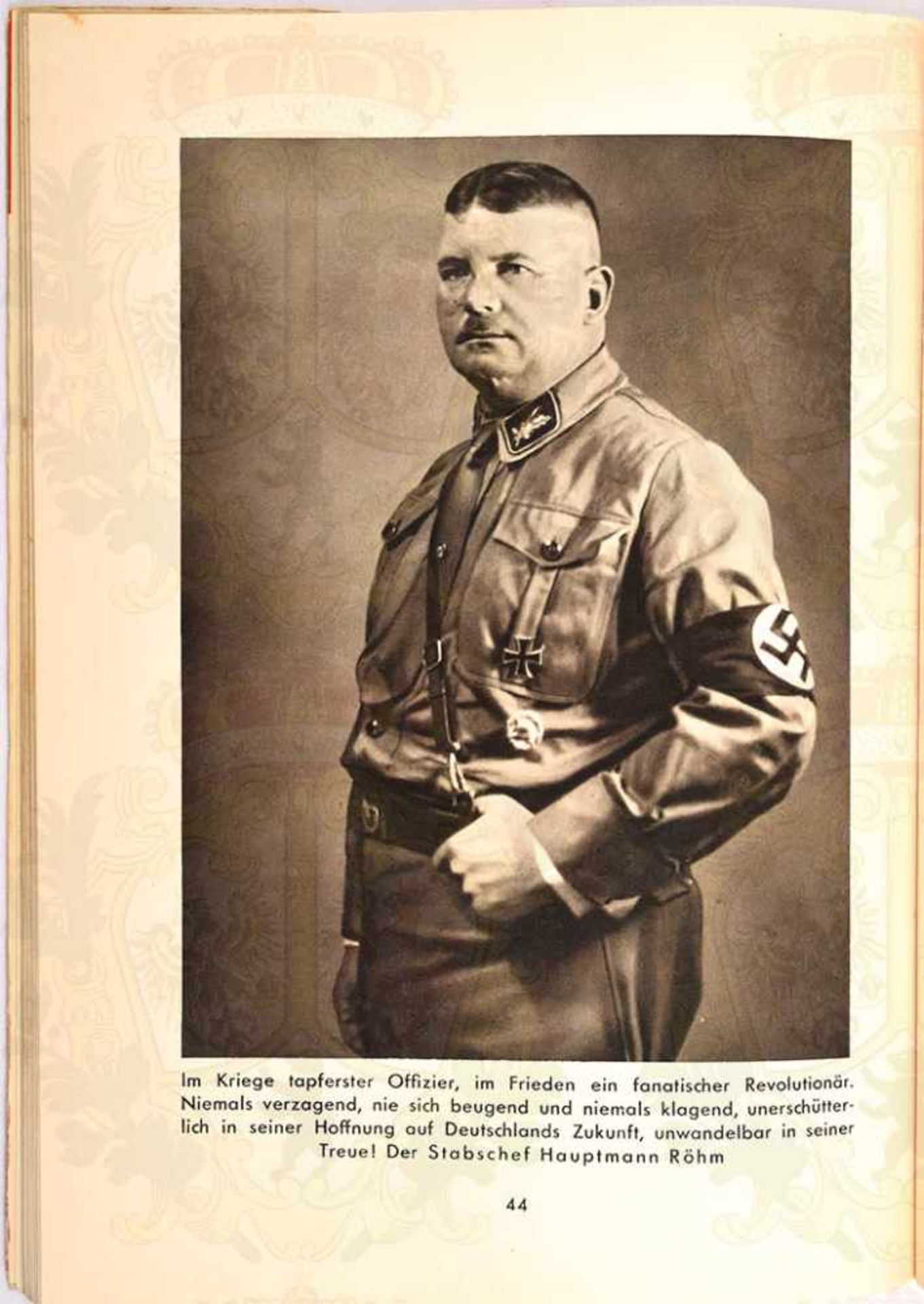 DAS BRAUNE HEER, „Kampf u. Sieg d. SA u. SS“, Hoffmann-Fotoband, 1. Auflage, Bln. 1932, 15 Text- - Bild 2 aus 5