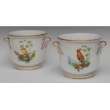A pair of Spode Ornithological jardinieres, well painted with song birds perched on branches,