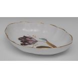 A Derby Botanical shaped oval plate, painted by William Quaker Pegg, with Tulip, gilt line rim,