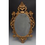 A Rococo giltwood cartouche shaped looking glass, pierced and carved with flowers and leafy scrolls,