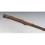 A 19th century 'Jersey' cabbage stalk novelty snuff box walking cane,