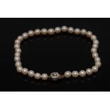 A cultured pearl single strand necklace, individually knotted,