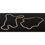 A single strand cultured pearl necklace, composed of graduated pearls ranging from 5.8 to 9.