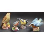 A Royal Worcester model of a Thrush, 3234; others, Great Tit 3335, Blue Bird 3649,