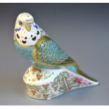 A Royal Crown Derby paperweight, Sky Blue Budgerigar, exclusive to the Duesbury Group,