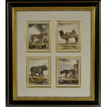 English School (20th century), a set of sixteen, African animals, off-set prints, 22cm x 18cm,