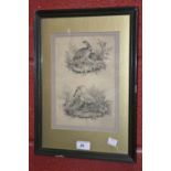 A 19th century ornithological engraving, spoonbill and bustards, 24cm x 17cm,