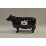 A Beswick model Aberdeen Angus Cow, gloss,