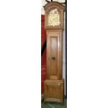 A 19th century French Provincial Chateau longcase clock