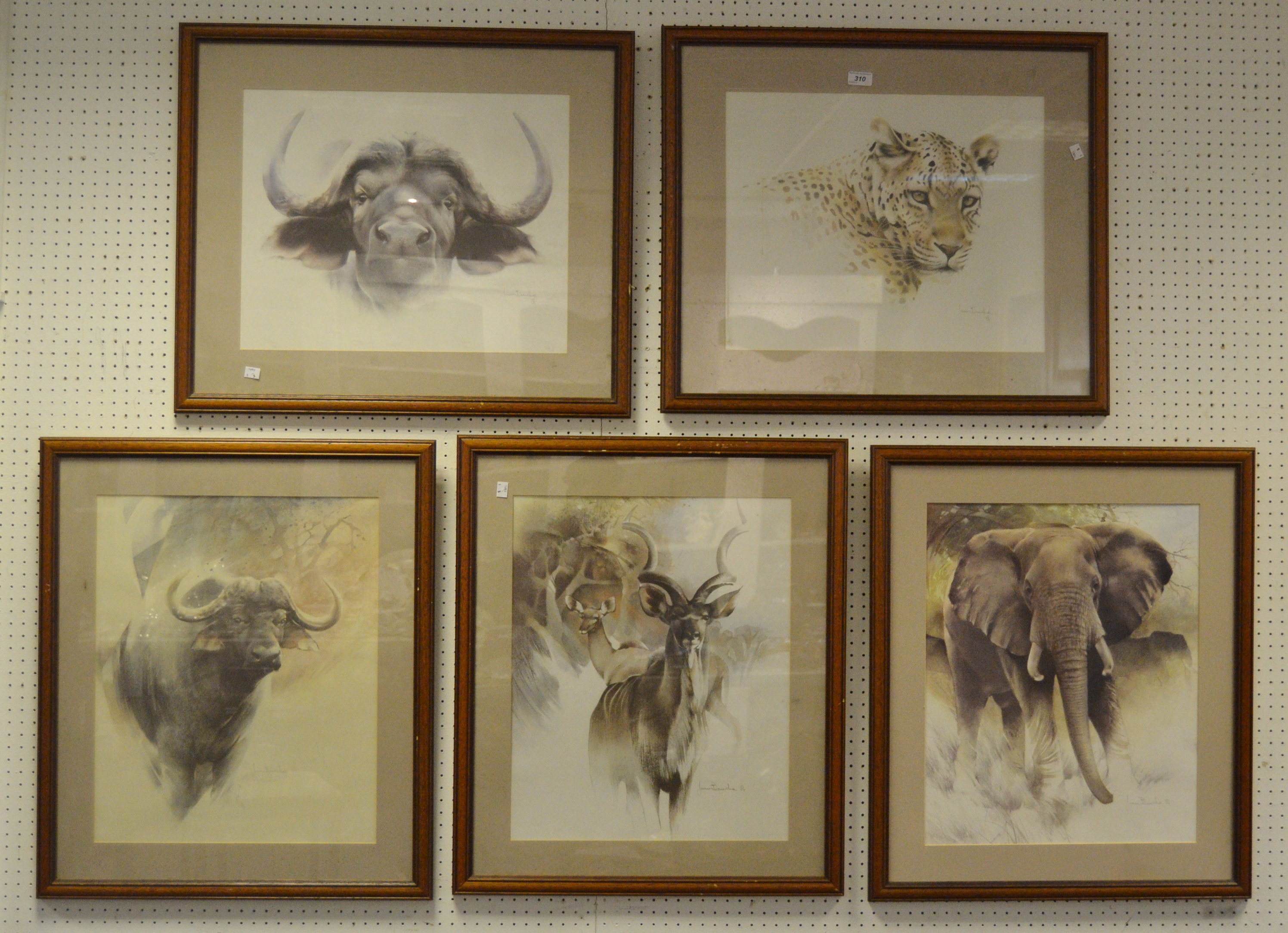 Joan Beuche, after, a set of five, African Animals,